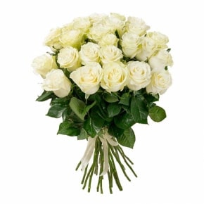 31 белая роза 50 см.